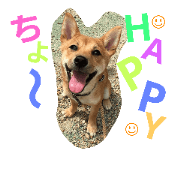 dog mame