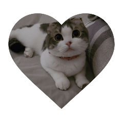 yukari_20210627062538