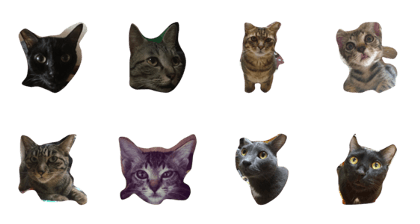 nekogohan