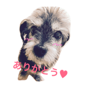 reo happy life