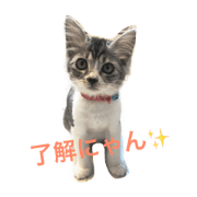 o-chanbicyuco