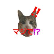 Mico-chan2.