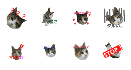 Mico-chan2.