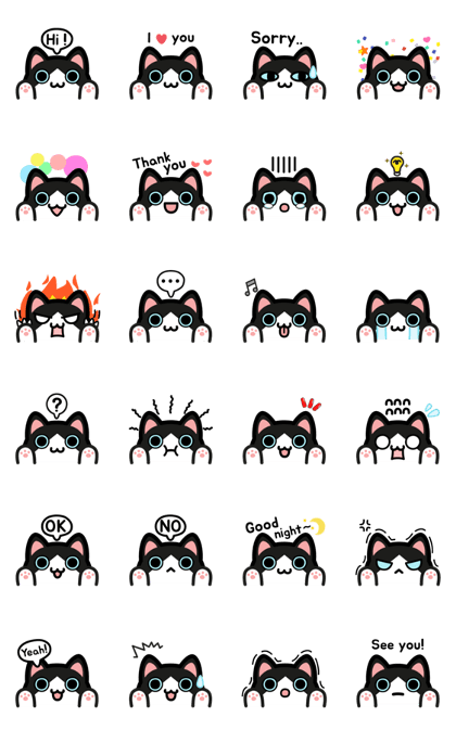 UNO CAT No.16