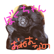 his name is kumakichi