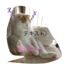 Kaori_20210626182334