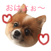 ponchan1223