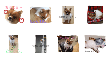 ponchan1223