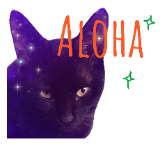 black cat kuro-chan.Part2