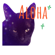 black cat kuro-chan.Part2