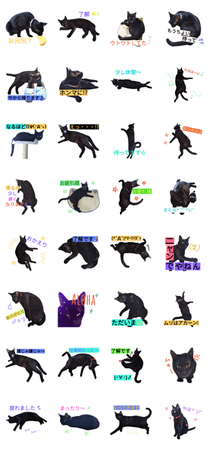 black cat kuro-chan.Part2