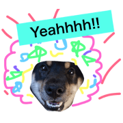 Black Shibainu stamp