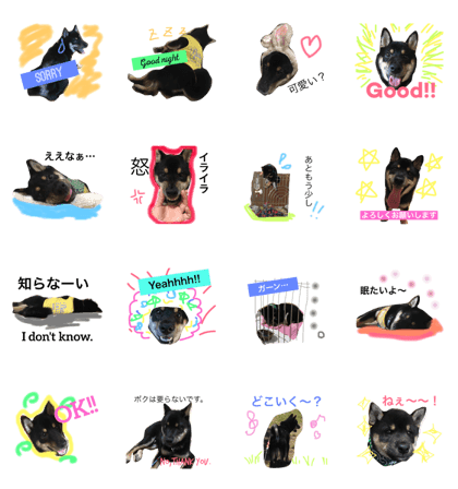 Black Shibainu stamp