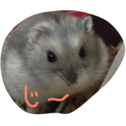 hamstar no maru