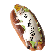 Frenchbulldogosamu
