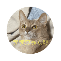Suzu Stamps.