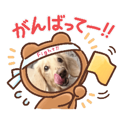 sally_20210626165917