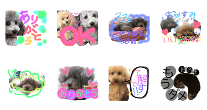 pakumocococo1