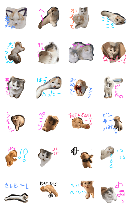 neko no mame