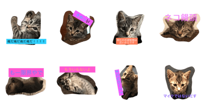 Yuzu Cat Part.1 Letters