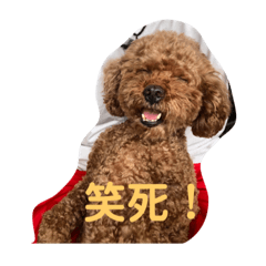 巧巧巧克力專屬❤️～