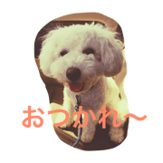akamaruuu