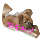 Lchan