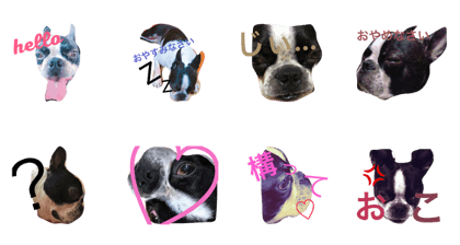 Stamp of the dog which may be a little