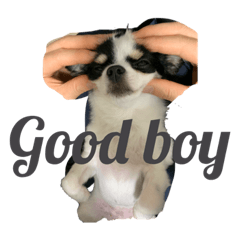 SAYURI_20210627115246