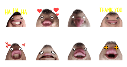 DAGU-DAGU