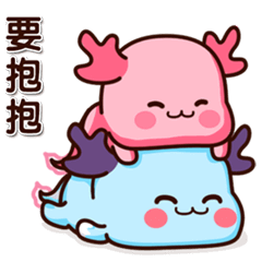 Sweet AXO Axolotl Daily talk 02