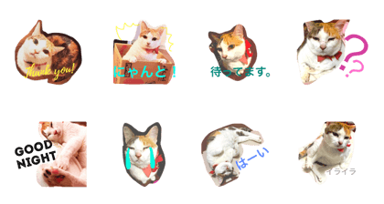 KIRARA2