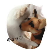 My pet LOVE
