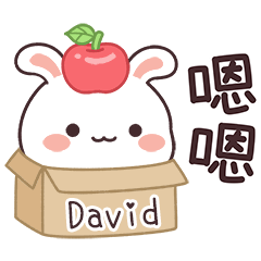 嬌嬌兔姓名貼_David專用