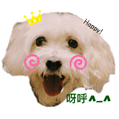 噹你的眼睛瞇著笑