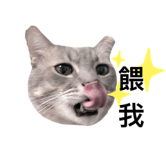 咘咘大王feat.奶油小公主