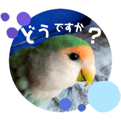 imo_20210627132211