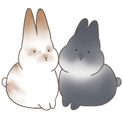 otomikanm