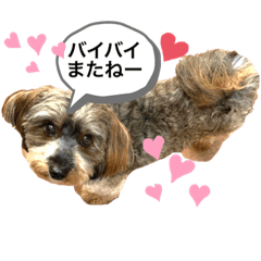 KAORI_20210627003948