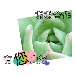 99-照片+問候