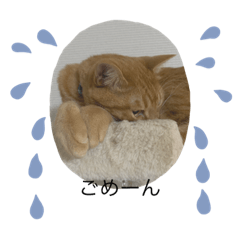 yukari_20210627010405