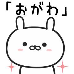 Rabbit For OGAWA