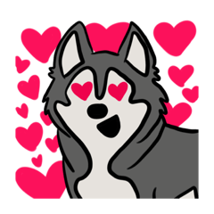 Cute Emotional Husky