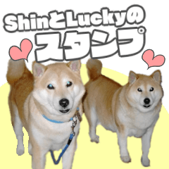 Shin&Lucky Stickers