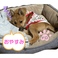 mimi_20210627114526
