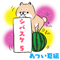 SHIBASUKE of Shiba 5 HOT SUMMER