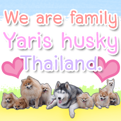 Yaris Husky Thailand