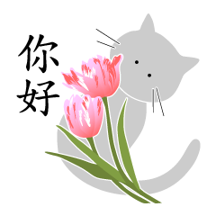 可愛的花與貓