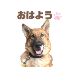 yuyumaru_20210627162615