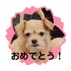 ace_20210627150840